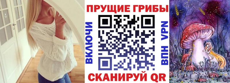 Псилоцибиновые грибы MAGIC MUSHROOMS  Купить закладки  Северодвинск 