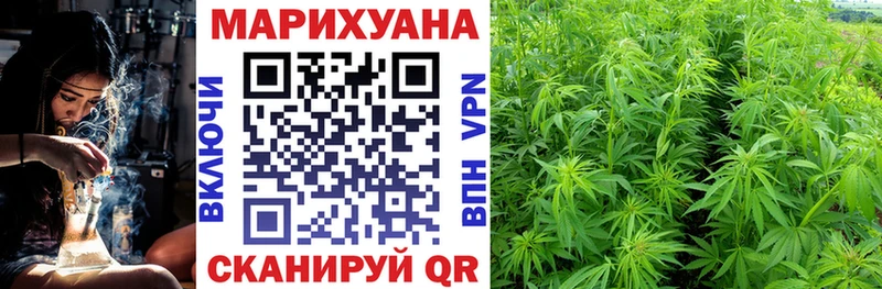 Марихуана план  Купить где  Северодвинск 